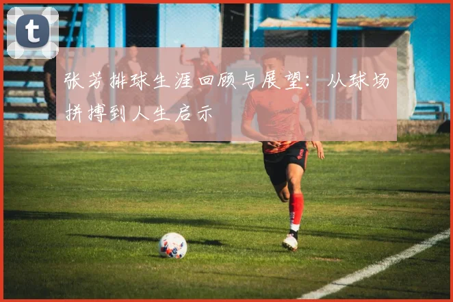 张芳排球生涯回顾与展望：从球场拼搏到人生启示
