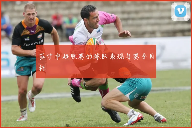 苏宁中超联赛的球队表现与赛季目标